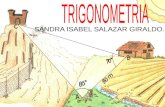SANDRA ISABEL SALAZAR GIRALDO.. Trigonometría: La trigonometría es la rama de las matemáticas cuyo significado etimológico es “la medición de los triángulos”.
