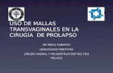 USO DE MALLAS TRANSVAGINALES EN LA CIRUGÍA DE PROLAPSO DR PABLO SOBARZO GINECÓLOGO-OBSTETRA CIRUGÍA VAGINAL Y RECONSTRUCCIÓN DEL PISO PÉLVICO.