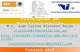Principios de Reestructuración M.C. Juan Carlos Olivares Rojas jcolivar@itmorelia.edu.mx http://antares.itmorelia.edu.mx/~jcolivar/ juancarlosolivares@hotmail.com.