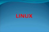 Linux es un sistema operativo, compatible Unix. El sistema lo forman el núcleo del sistema (kernel) más un gran número de programas / bibliotecas que.