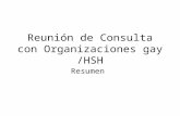 Reunión de Consulta con Organizaciones gay /HSH Resumen.
