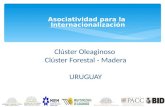 Asociatividad para la Internacionalización Clúster Oleaginoso Clúster Forestal - Madera URUGUAY.