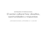 SEMINARIO INTERNACIONAL El sector cultural hoy: desafíos, oportunidades y respuestas CARTAGENA DE INDIAS, SEPTIEMBRE 10 Y 11 DE 2009.