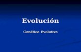 Evolución Genética Evolutiva. Antecedentes La formalización matemática de la genética mendeliana para crear la genética de poblaciones constituye el más.