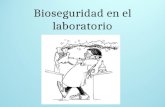 Bioseguridad en el laboratorio. BIOSEGURIDAD ¿Qué vamos a ver? Definición de BIOSEGURIDAD Riesgos: clasificación Niveles de Bioseguridad Precauciones.