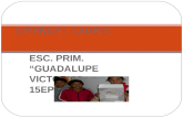 ESC. PRIM. “GUADALUPE VICTORIA” 15EPRO770M DISEÑA EL CAMBIO.