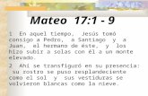 Mateo 17:1 - 9 1 En aquel tiempo, Jesús tomó consigo a Pedro, a Santiago y a Juan, el hermano de éste, y los hizo subir a solas con él a un monte elevado.