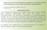 Estimación del almacenamiento de carbono en suelo de huertos de de guayaba en el municipio de Calvillo, Aguascalientes. Jesús Meraz, Jorge Martínez, Alejandro.
