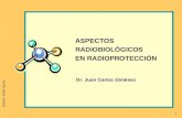 Dr. Juan Carlos Giménez ASPECTOS RADIOBIOLÓGICOS EN RADIOPROTECCIÓN Diseño: Stella Spurio 1.