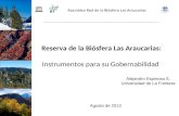Reserva de la Biósfera Las Araucarias: Instrumentos para su Gobernabilidad Asamblea Red de la Biósfera Las Araucarias Alejandro Espinosa S. Universidad.