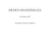 REDES NEURONALES Introducción Enrique Carlos Segura.