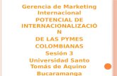 Gerencia de Marketing Internacional POTENCIAL DE INTERNACIONALIZACIÓN DE LAS PYMES COLOMBIANAS Sesión 3 Universidad Santo Tomás de Aquino Bucaramanga.