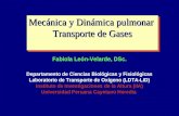Mecánica y Dinámica pulmonar Transporte de Gases Fabiola León-Velarde, DSc. Departamento de Ciencias Biológicas y Fisiológicas Laboratorio de Transporte.