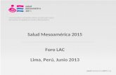 Salud Mesoamérica 2015 Foro LAC Lima, Perú, Junio 2013.