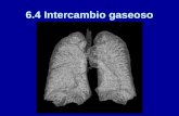 6.4 Intercambio gaseoso. El sistema respiratorio: visión general Nuestros pulmones actúan coordinadamente con el corazón y los vasos sanguíneos para asegurar.