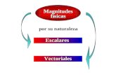 Magnitudes físicas por su naturaleza Escalares Vectoriales.