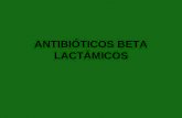 ANTIBIÓTICOS BETA LACTÁMICOS. Antibióticos betalactámicos Clasificación: PENICILINAS CEFALOSPORINAS CARBAPENEMOS MONOBACTÁMICOS.