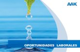 OPORTUNIDADES LABORALES. Tema: Oportunidades Laborales Agenda 1.-Formación Académica 2.-Prácticas Profesionales 3.-Realidad Laboral.