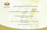 CENTRO GENERAL DE PADRES Y APODERADOS ( CADEV ) CONTROL PRESUPUESTARIO 2012- 2013 DIRECTORIO ANGELICA SILVA – DANIELA BARRIENTOS – ADAN GARRIDO ANA MARIA.