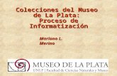 Colecciones del Museo de La Plata: Proceso de Informatización Mariano L. Merino.