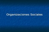 Organizaciones Sociales. Definiendo a las organizaciones sociales: Son unidades sociales construidas o reconstruidas con vista a un fin. Son unidades.