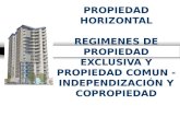 PROPIEDAD HORIZONTAL REGIMENES DE PROPIEDAD EXCLUSIVA Y PROPIEDAD COMUN - INDEPENDIZACIÓN Y COPROPIEDAD.