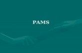 PAMS. PAMS Peruvian American Medical Society (PAMS) es una organización sin fines de lucro que agrupa a médicos peruanos radicados en los Estados Unidos.