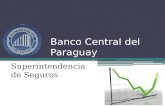 Banco Central del Paraguay Superintendencia de Seguros.