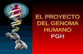 EL PROYECTO DEL GENOMA HUMANO PGH. Portada del Time en el que muestra cómo la genética influenciará la medicina.