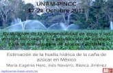 UNAM-PINCC 17-21 Octubre 2011 ing@pumas.iingen.unam.mx Evaluación de la disponibilidad de agua y los costos asociados a la producción de cultivos para.
