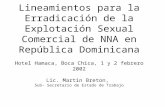 Lineamientos para la Erradicación de la Explotación Sexual Comercial de NNA en República Dominicana Hotel Hamaca, Boca Chica, 1 y 2 febrero 2002 Lic. Martin.