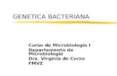 GENETICA BACTERIANA Curso de Microbiología I Departamento de Microbiología Dra. Virginia de Corzo FMVZ.