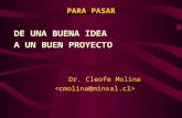 PARA PASAR DE UNA BUENA IDEA A UN BUEN PROYECTO Dr. Cleofe Molina.