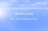 NEOPLASIAS Dra. Maria Bernarda Tuk. Generalidades de la respuesta celular al estrés y otros estímulos La célula normalmente puede adaptarse a cambios.