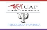 PSICOBIOLOGIA Y ETOLOGIA II 1- ÉTICA DE LA INVESTIGACIÓN CON SUJETOS HUMANOS PSICOBIOLOGIA Y ETOLOGIA II.