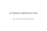 ICTERICIA OBSTRUCTIVA DR. ZAMORA BARQUERO. CONSIDERACIONES ANATOMICAS Y FISIOLÓGICAS.