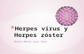 Dulce María Luna Cano. * Infección producida por virus del herpes simple (VSH)-1 y 2, que afectan piel y mucosas bucal o genital. Sinónimos: «fuegos,