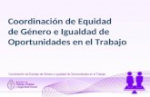 Coordinación de Equidad de Género e Igualdad de Oportunidades en el Trabajo 1.