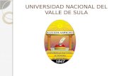 UNIVERSIDAD NACIONAL DEL VALLE DE SULA TRASTORNO MENTAL TRANSITORIO UNIVERSIDAD NACIONAL AUTONOMA DE HONDURAS UNAH-VS CATEDRA : MEDICINA FORENSE CATEDRATICO: