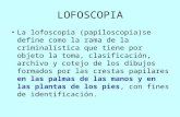 LOFOSCOPIA La lofoscopia (papiloscopia)se define como la rama de la criminalística que tiene por objeto la toma, clasificación, archivo y cotejo de los.
