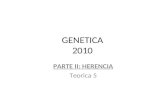 GENETICA 2010 PARTE II: HERENCIA Teorica 5. Teoria de la herencia cromosomica La teoría cromosómica de la herencia establece que los genes forman parte.