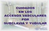 La cateterización venosa con fines terapeúticos concierne a la totalidad del personal de Enfermería del Complejo Hospitalario de Albacete.