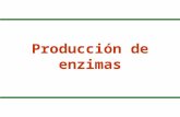Producción de enzimas. Producción de Enzimas  Un preparado enzimático comercial contiene: –Enzima de interés –Otras proteínas (contaminantes) –Excipientes.
