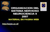 ORGANIZACION DEL SISTEMA NERVIOSO NEUROCIENCIA II 2007  MATERIAL EN PAGINA WEB.