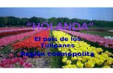 Lara Ortiz Martí1 El país de los Tulipanes Región cosmopolita “HOLANDA”