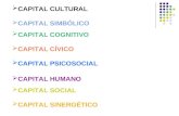 CAPITAL CULTURAL  CAPITAL SIMBÓLICO  CAPITAL COGNITIVO  CAPITAL CÍVICO  CAPITAL PSICOSOCIAL  CAPITAL HUMANO  CAPITAL SOCIAL  CAPITAL SINERGÉTICO.