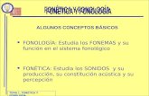 TEMA 1. FONÉTICA Y FONOLOGÍA FONOLOGÍA: Estudia los FONEMAS y su función en el sistema fonológico FONÉTICA: Estudia los SONIDOS y su producción, su constitución.