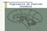 Vigilancia de Función Cerebral. Incitación al desarrollo de nuevas técnicas IV Coloquios de Ingeniería Biomédica en Valparaiso (Conferencias 2002 Rama.