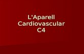 L'Aparell Cardiovascular C4. Índex Introducció Introducció Anatomia del cor Anatomia del cor Fisiologia del cor Fisiologia del cor Anatomia i fisiologia.