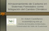 Almacenamiento de Carbono en Sistemas Forestales como Mitigación del Cambio Climático Dr. Edwin Castellanos ecastell@uvg.edu.gt Centro de Estudios Ambientales.